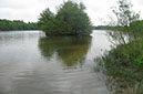 Channel & island in Shallows