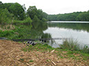 Shallows looking towards the point