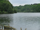 Looking down the res' to the reserve