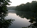 Wood Side view from Dam Wall