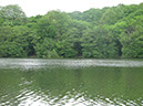 Woodside view of Arena & Rockery swims