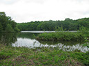 Small island in The Shallows