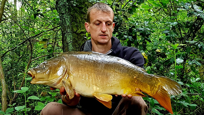 16lb. June 2018
