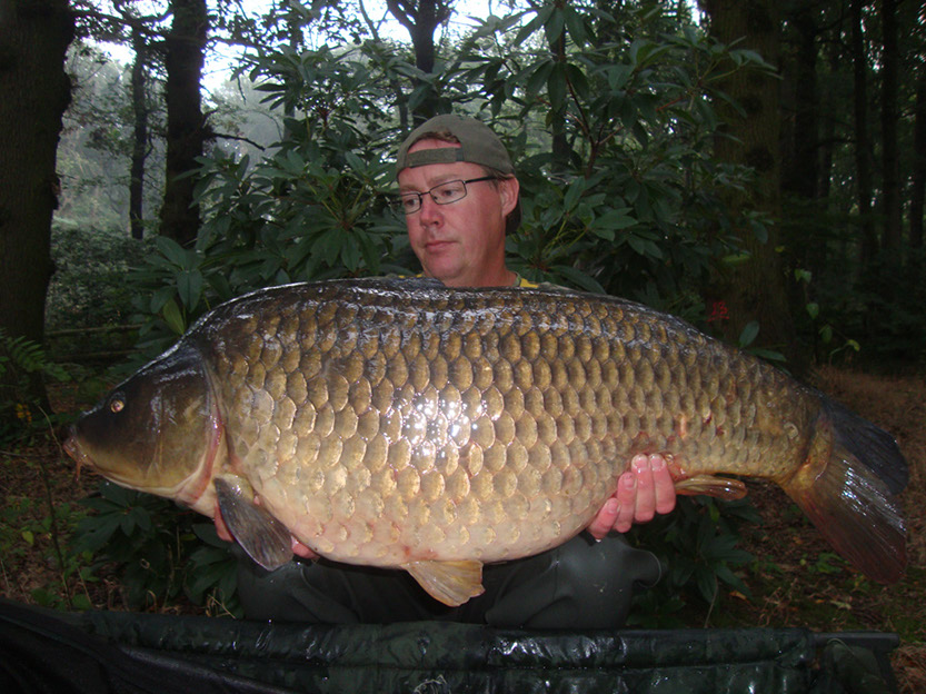 31lb 9oz C Scale Common. Septembr 2016. (1)