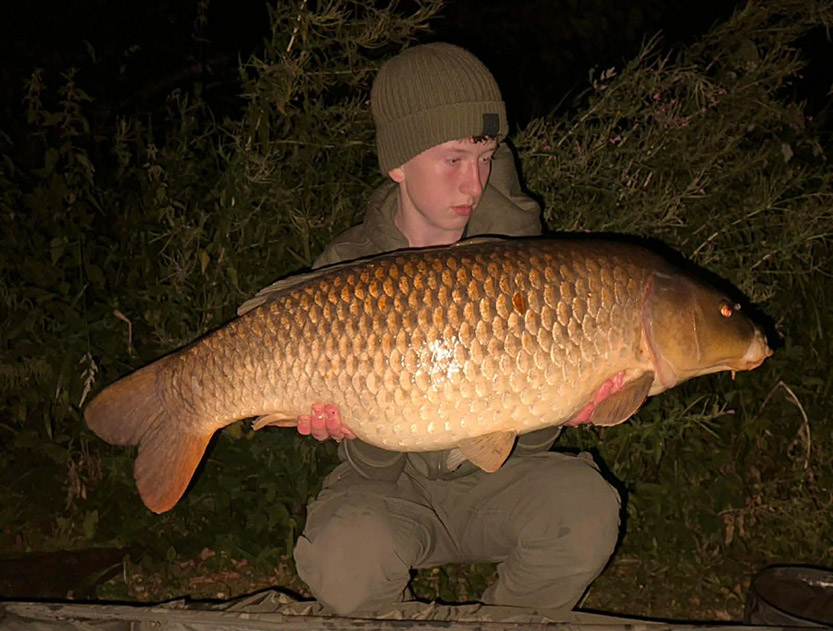 26lb. September 2026