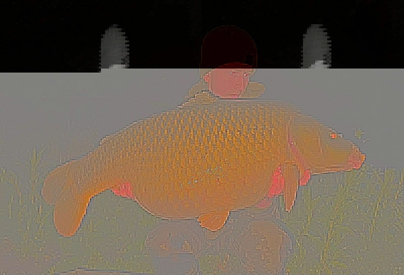30lb Ray. June 2026