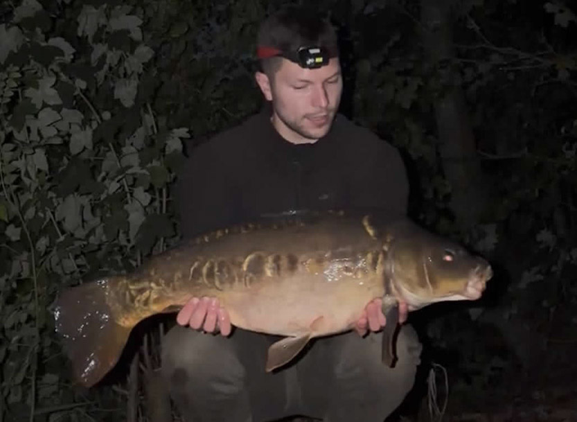 19lb. September 2026
