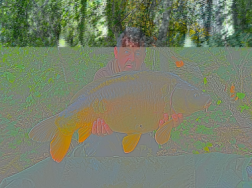 25lb 10oz Black Spot Mirror. September 2026