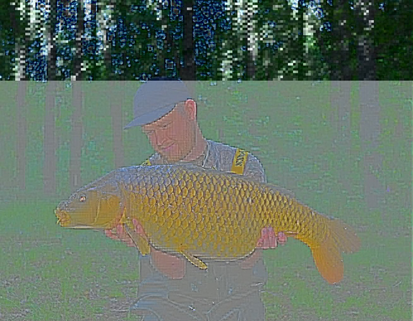 26lb 8oz. June 2026