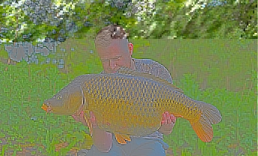 31lb. May 2026 (1)