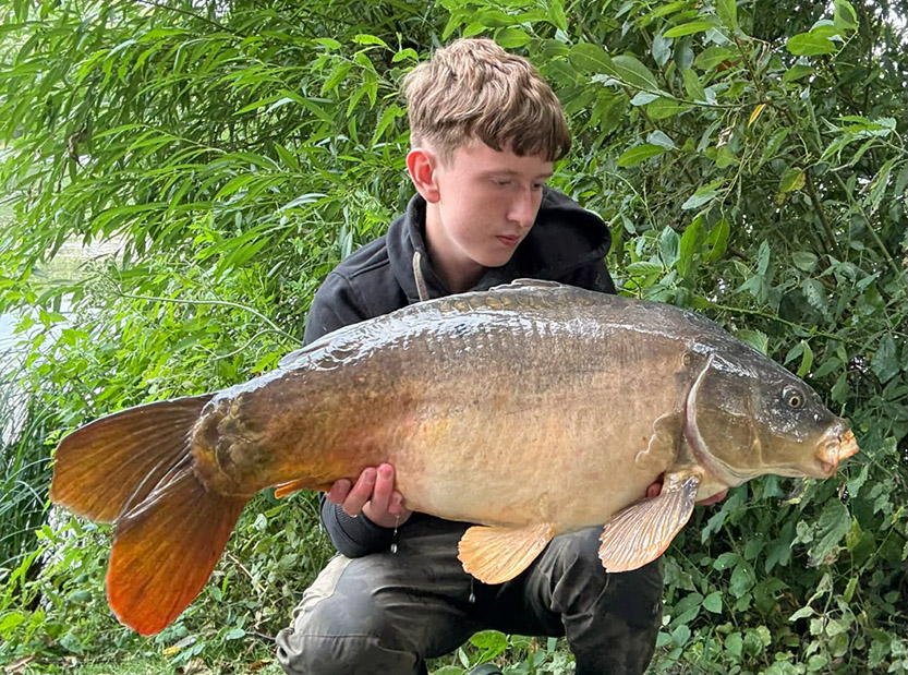 20lb. September 2026