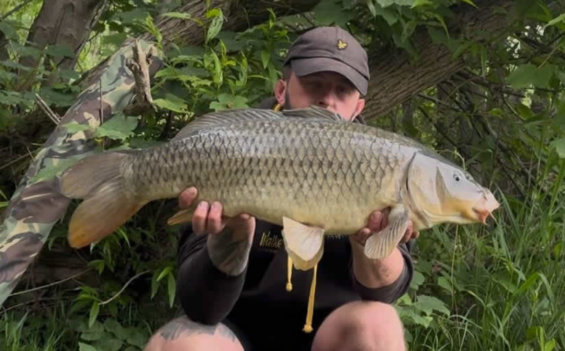 12lb 11oz. May 2025. Spit