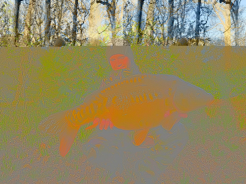 16lb 8oz