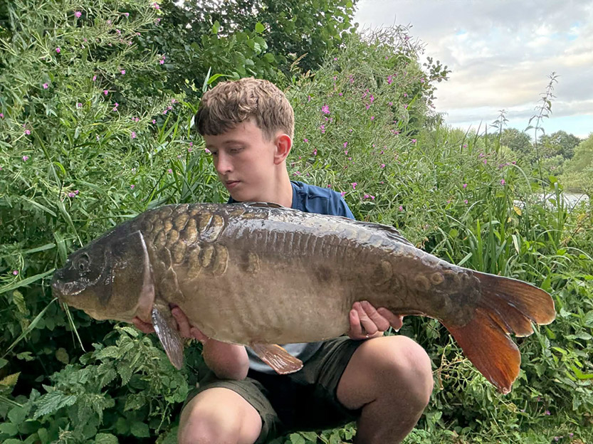 21lb Parrot. September 2026