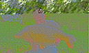 31lb. May 2026 (1)