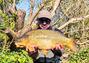 11lb. May 2026
