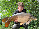 20lb. September 2026